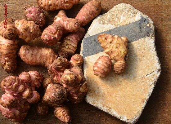 АРТИШОК ИЕРУСАЛИМСКИЙ АРТИШОК ИЕРУСАЛИМСКИЙ