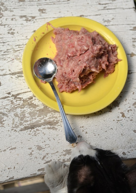 Наконец-то мясо!