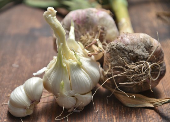 чеснок