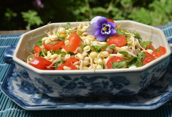 салат из ростков маша