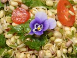 САЛАТ ИЗ РОСТКОВ МАША ИЛИ БОБОВ МУНГ&nbsp;РЕЦЕПТ