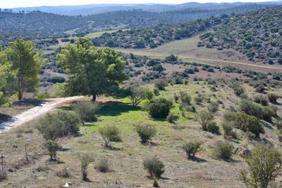 ПРОВИНЦИЯ ЛАХИШ МОГИЛА ШЕЙХА АЛИ 7-10 ВЕК Р. Х.
