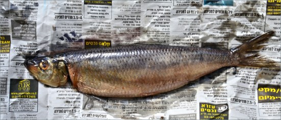 СЕЛЕДКА ПОД ШУБОЙ