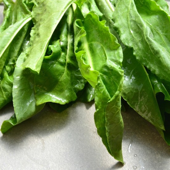 СУП ИЗ ЩАВЕЛЯ БЕЗ МЯСА