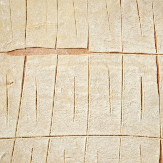 ХВОРОСТ ОБЫКНОВЕННЫЙ