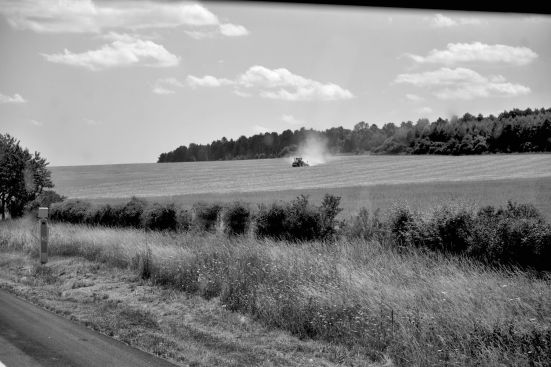 Лотарингия 