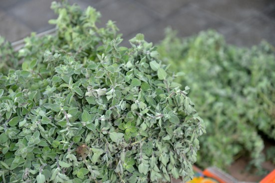 Утренняя прогулка по Иерусалимскому бульвару в Яффо