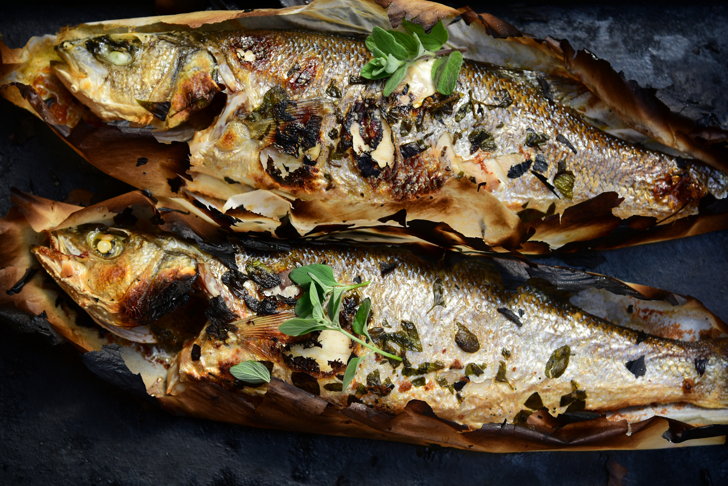 Рыбу готовит Архестрат