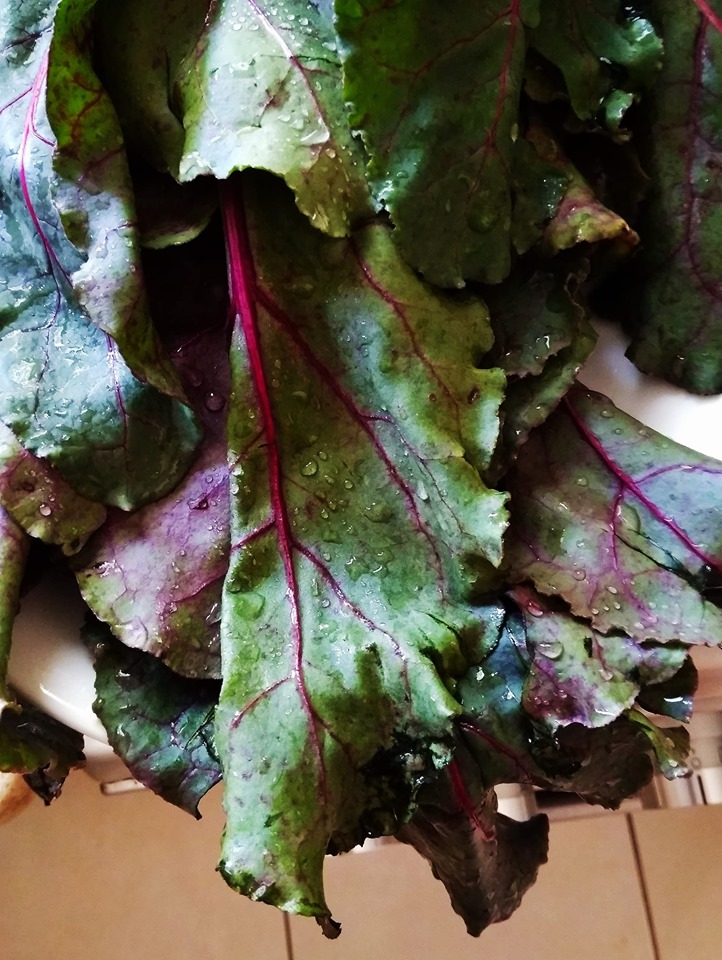 Борщ со свекольной ботвой и без мяса